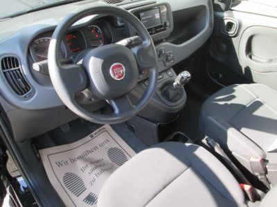 Fiat Panda Gebrauchtwagen