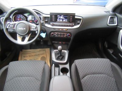 KIA Ceed Gebrauchtwagen