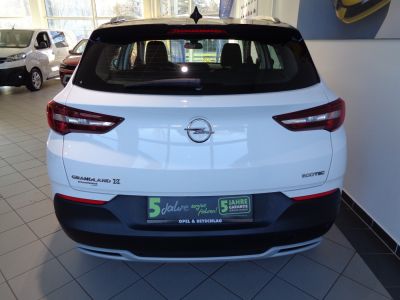 Opel Grandland X Gebrauchtwagen