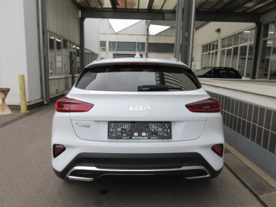 KIA XCeed Gebrauchtwagen KIA XCeed Gebrauchtwagen