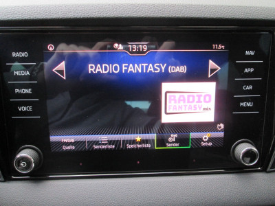 Skoda Karoq Gebrauchtwagen Skoda Karoq Gebrauchtwagen