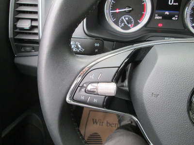 Skoda Karoq Gebrauchtwagen Skoda Karoq Gebrauchtwagen