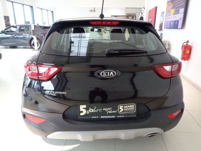 KIA Stonic Gebrauchtwagen