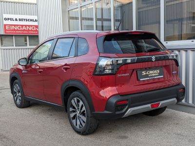 Suzuki S-Cross Gebrauchtwagen