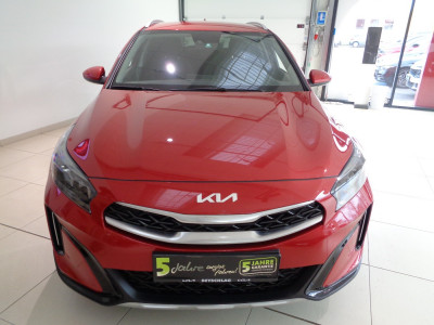 KIA XCeed Gebrauchtwagen KIA XCeed Gebrauchtwagen
