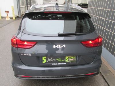 KIA Ceed Gebrauchtwagen