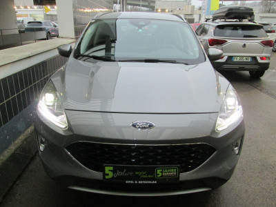 Ford Kuga Gebrauchtwagen