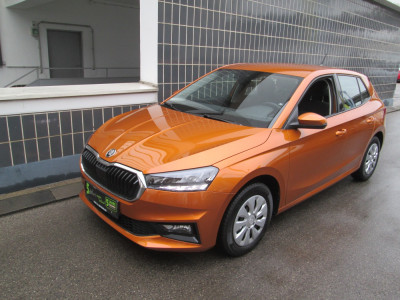 Skoda Fabia Gebrauchtwagen