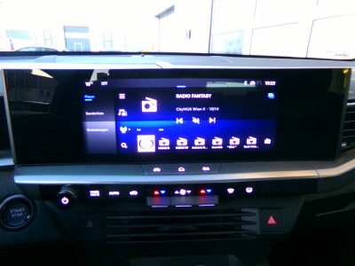 Opel Grandland Gebrauchtwagen