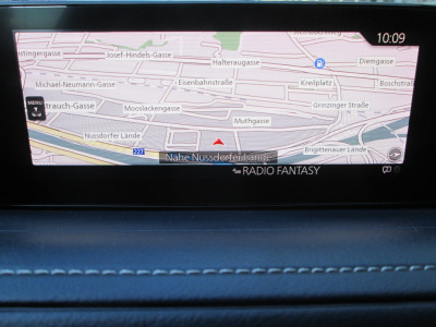 Mazda CX-30 Gebrauchtwagen