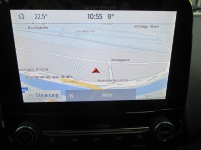 Ford EcoSport Gebrauchtwagen