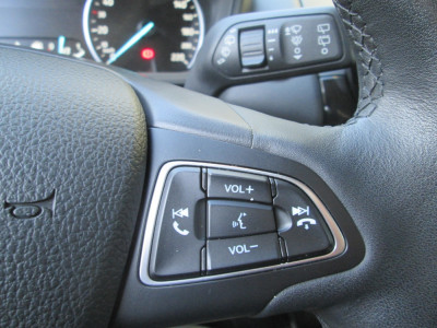 Ford EcoSport Gebrauchtwagen