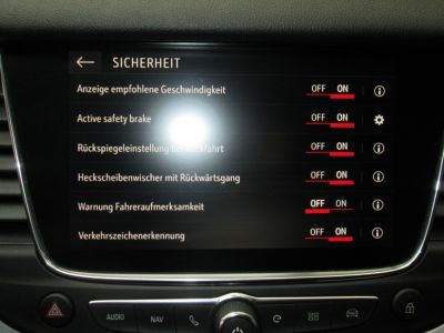 Opel Grandland X Gebrauchtwagen