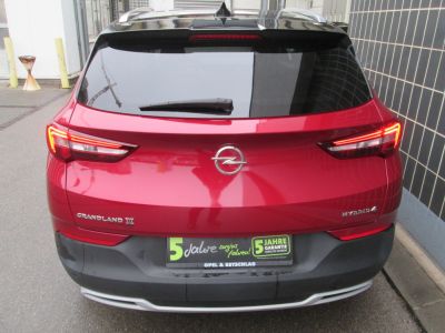 Opel Grandland X Gebrauchtwagen