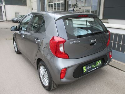 KIA Picanto Gebrauchtwagen