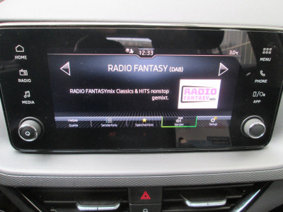 Skoda Kamiq Gebrauchtwagen