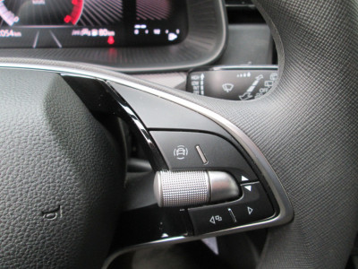 Skoda Kamiq Gebrauchtwagen Skoda Kamiq Gebrauchtwagen