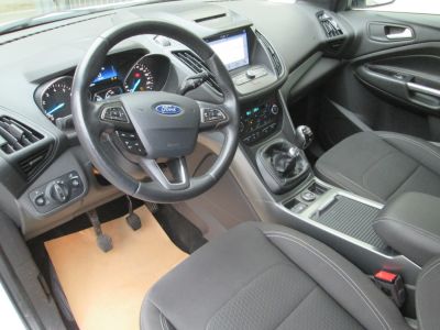 Ford Kuga Gebrauchtwagen