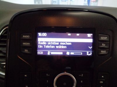 Renault Scénic Gebrauchtwagen Renault Scénic Gebrauchtwagen