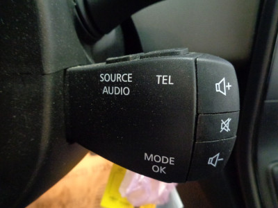 Renault Scénic Gebrauchtwagen