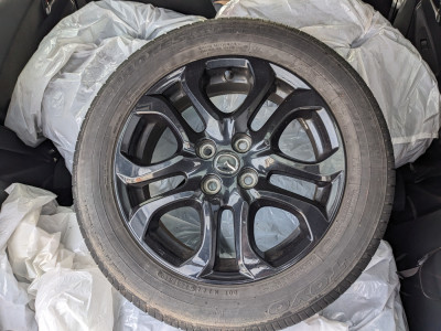 Mazda Mazda2 Gebrauchtwagen