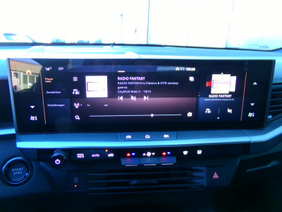 Opel Grandland Gebrauchtwagen