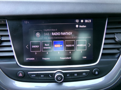 Opel Grandland X Gebrauchtwagen