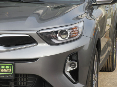 KIA Stonic Gebrauchtwagen