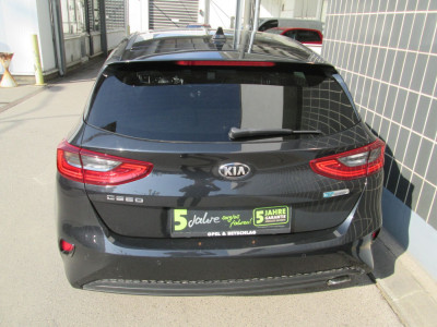 KIA Ceed Gebrauchtwagen KIA Ceed Gebrauchtwagen