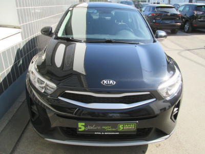 KIA Stonic Gebrauchtwagen