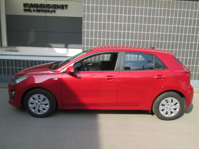 KIA Rio Gebrauchtwagen