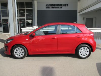 KIA Rio Gebrauchtwagen