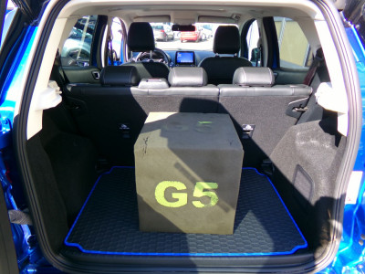 Ford EcoSport Gebrauchtwagen