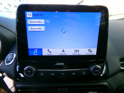 Ford EcoSport Gebrauchtwagen