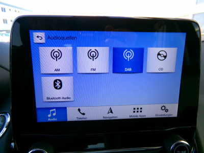 Ford EcoSport Gebrauchtwagen