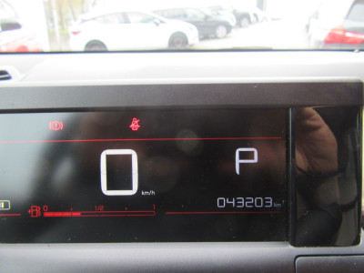 Citroën C4 Cactus Gebrauchtwagen