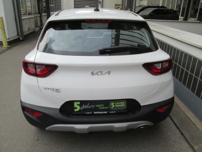 KIA Stonic Gebrauchtwagen