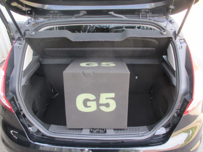 Ford Fiesta Gebrauchtwagen