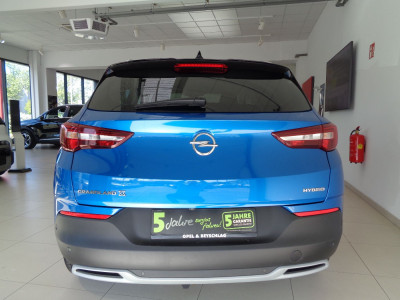 Opel Grandland X Gebrauchtwagen