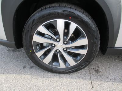Suzuki S-Cross Gebrauchtwagen Suzuki S-Cross Gebrauchtwagen
