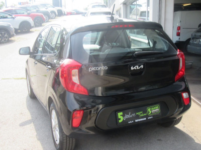 KIA Picanto Gebrauchtwagen KIA Picanto Gebrauchtwagen