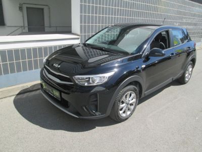 KIA Stonic Gebrauchtwagen