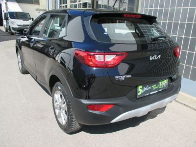 KIA Stonic Gebrauchtwagen