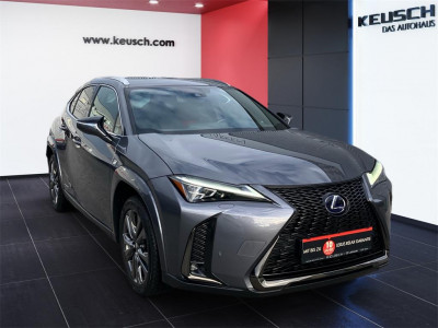 Lexus UX Gebrauchtwagen