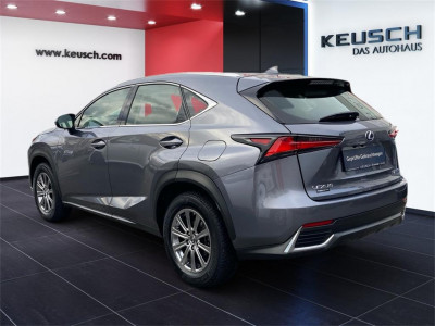 Lexus NX Gebrauchtwagen