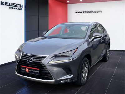 Lexus NX Gebrauchtwagen