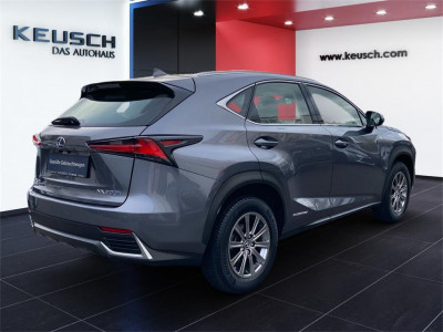 Lexus NX Gebrauchtwagen