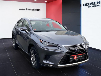 Lexus NX Gebrauchtwagen