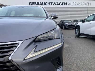 Lexus NX Gebrauchtwagen