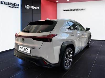 Lexus UX Neuwagen